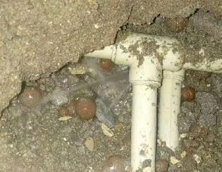 禹会卫生间测漏